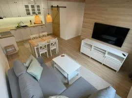 APARTAMENTY GUZIK 22