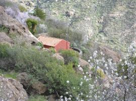 Casa Cueva El Pedregal Tejeda, hotelli Tejedassa