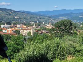 House Pierina, hotel u Firenci