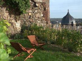 Bonjour Pierreuse, hotel bajet di Liège