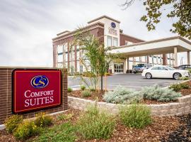 Comfort Suites Woodland - Sacramento Airport, hotel perto de Aeroporto Internacional de Sacramento - SMF, Woodland