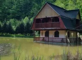 Unique House on the Lake