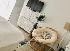 Studio Cosy, LYON, avec garage privé