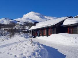 Tyinkrysset panorama, hotel em Tyinkrysset