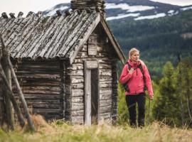 Trillevallens Högfjällshotell & Lägenheter, hotel u gradu Trillevallen