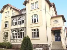 Villa Glückauf - Loft mit Südblick