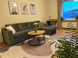 Vonn Apartment in Tallinn City Centre