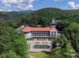 Verkhovyna Resort Medical & Wellness – hotel w mieście Kamenitsa