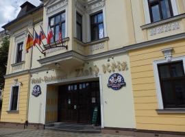 Hotel Zlatý Kříž, hotel u gradu Teplice