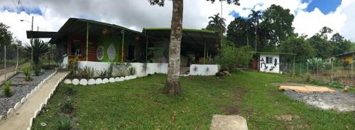 Soursop Hostel