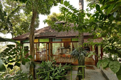 Ambong Rainforest Retreat