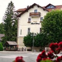 Hotel Bitoraj Fužine, отель в городе Фужине