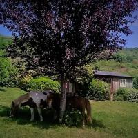 la Frégière Chalets, Hotel in der Nähe vom Flughafen Rodez-Aveyron - RDZ, Clairvaux-dʼAveyron