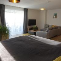 Exclusive cozy apartment in the heart of Franconia, hotell i nærheten av Giebelstadt lufthavn - GHF i Gaukönigshofen