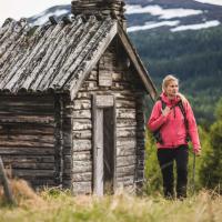 Trillevallens Högfjällshotell & Lägenheter, hotel u gradu Trillevallen