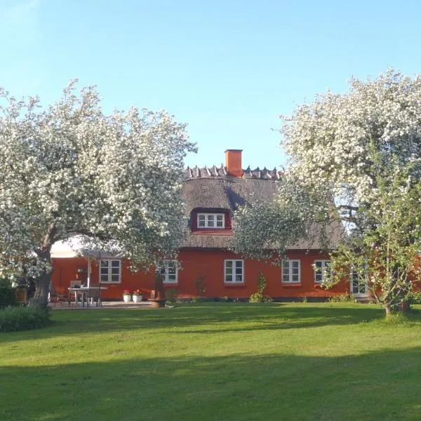 SoegaardensBB, hotel in Herlev