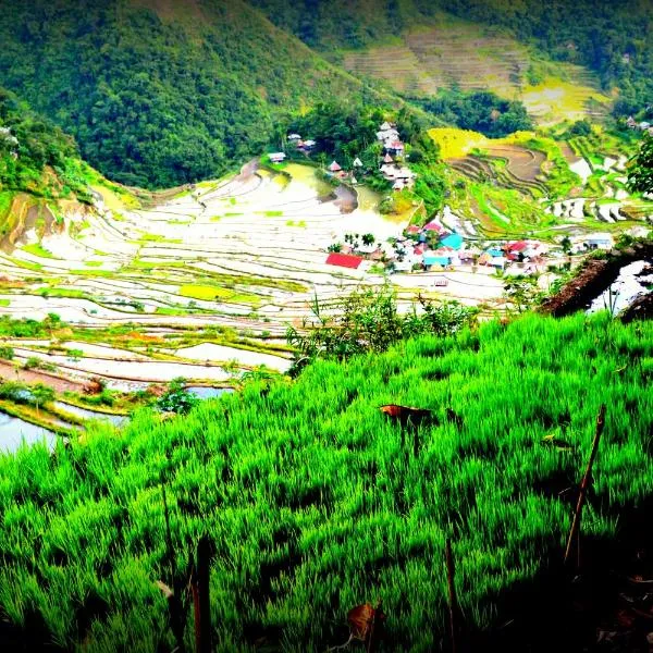 Highland Inn and Restaurant, hotel in Banaue