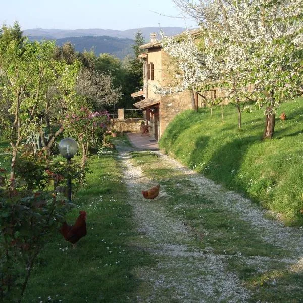 Podere La Vigna Locazione Turistica: Orvieto'da bir otel