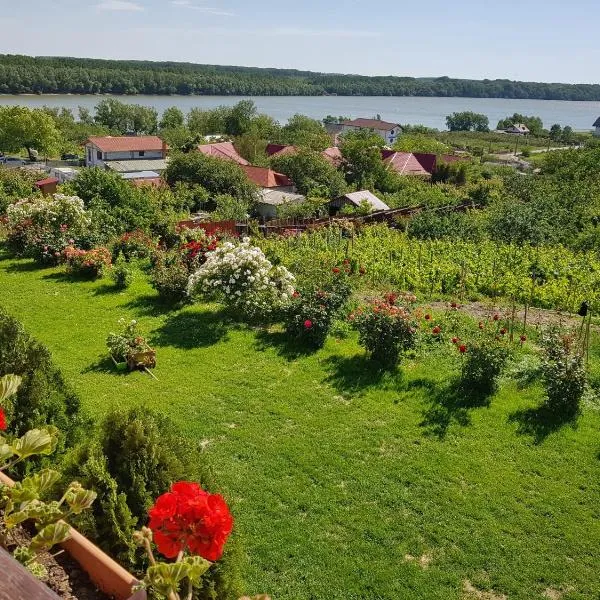 Casa Lac de Verde, hotel en Mahmudia