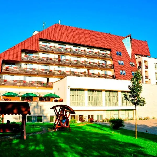 Hotel Clermont, hotel en Zăbala