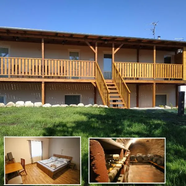 Penzion u Vinice, hotel di Sedlec