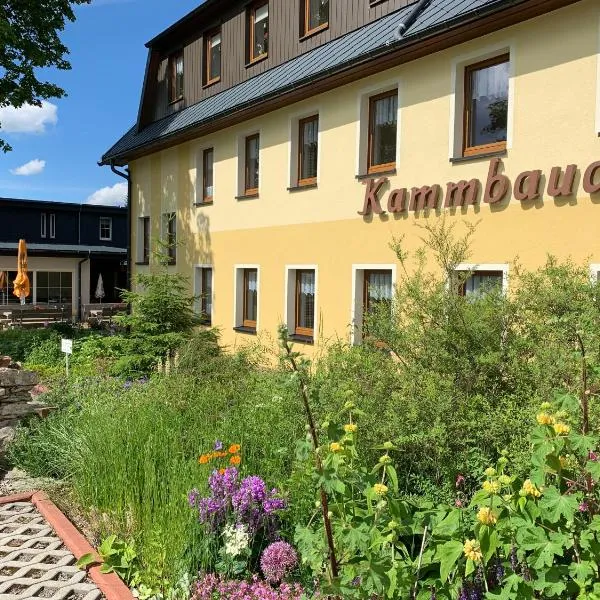 Hotel Dachsbaude & Kammbaude, hótel í Seiffen