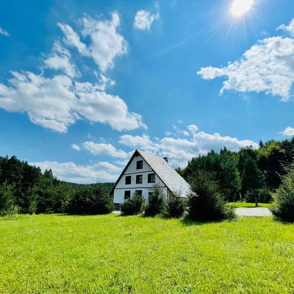 Villa Pinus Slovenský raj - Hotel Čingov dependance，斯米札尼的飯店