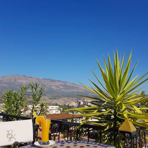 Riad Fes Kettani, hotel in Fez