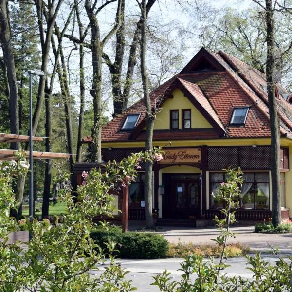 Villa Hotel, готель у Дебрецені