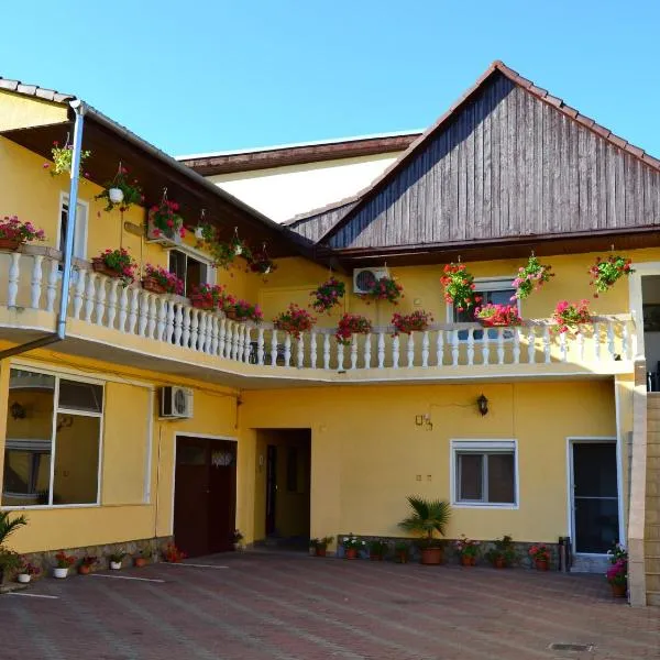 Pensiunea Alexander, hotel di Micălaca