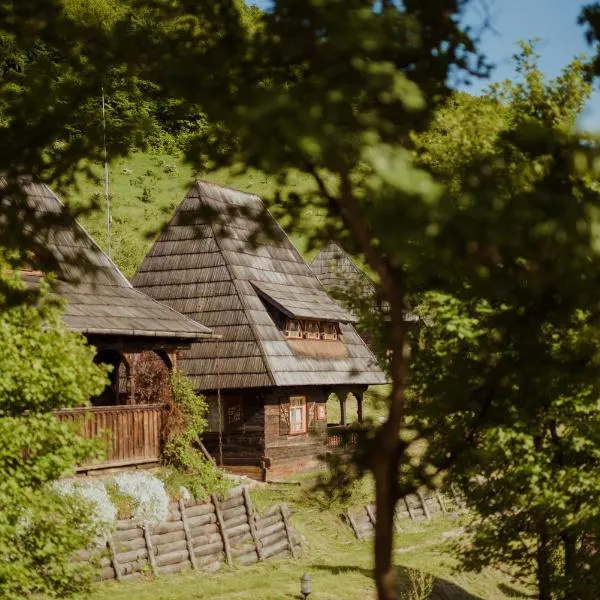 Valea Inzelului에 위치한 호텔 Raven's Nest - The Hidden Village, Transylvania - Romania