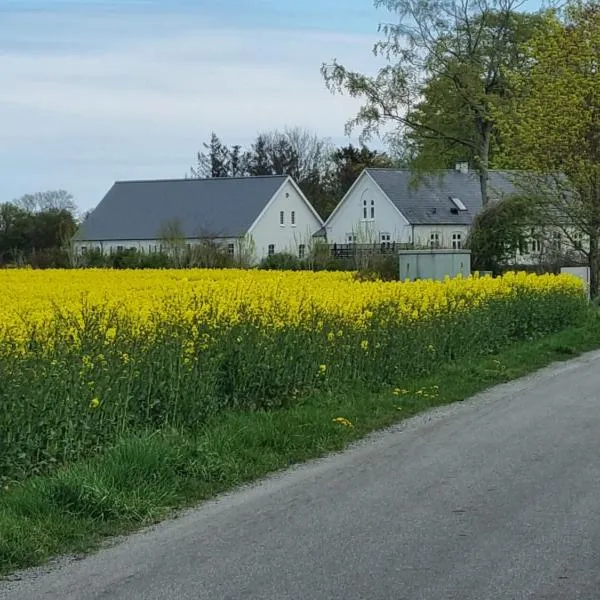 Birkelund BnB, hotelli Odensessa