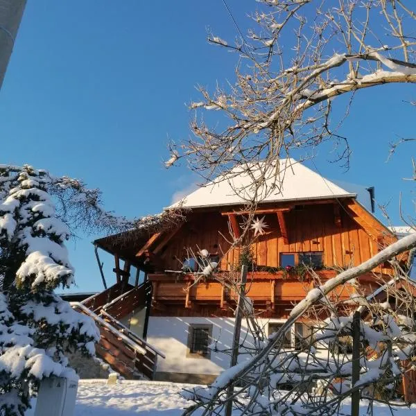 Landgasthof Plohnbachtal UG, hotel en Lengenfeld