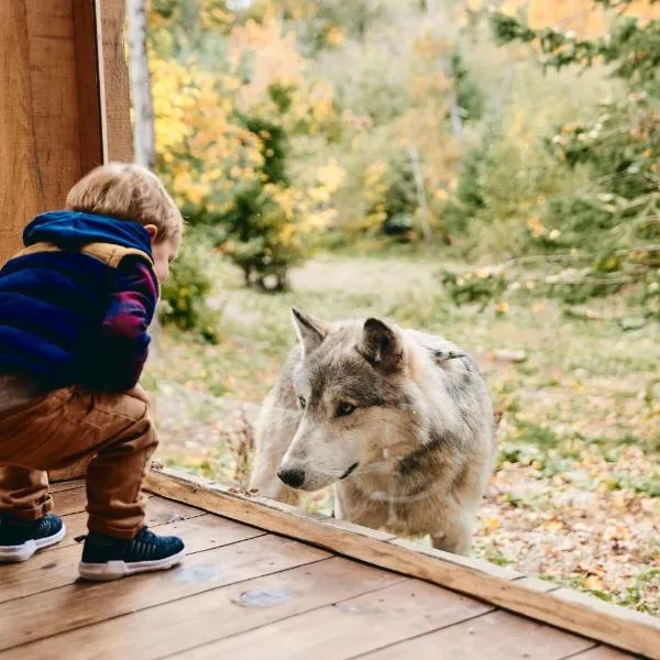 Parc Omega, hôtel à Montebello