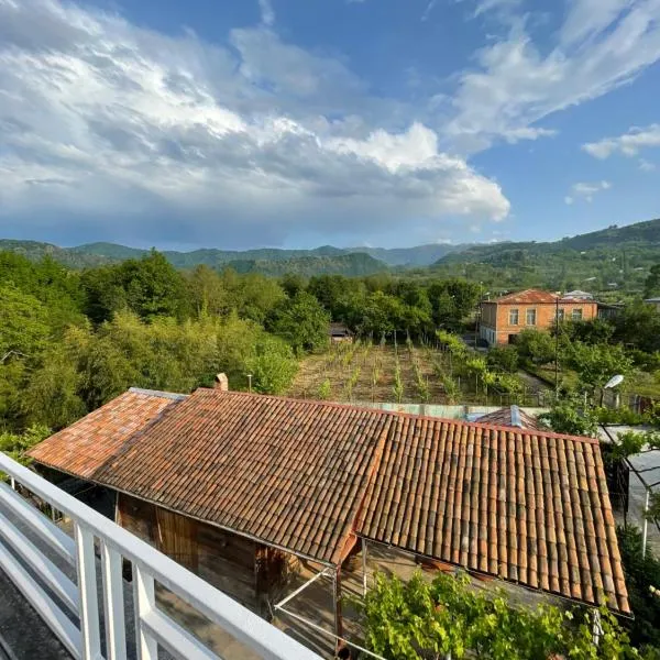 Zaali's wine cellar, Hotel in Sairme