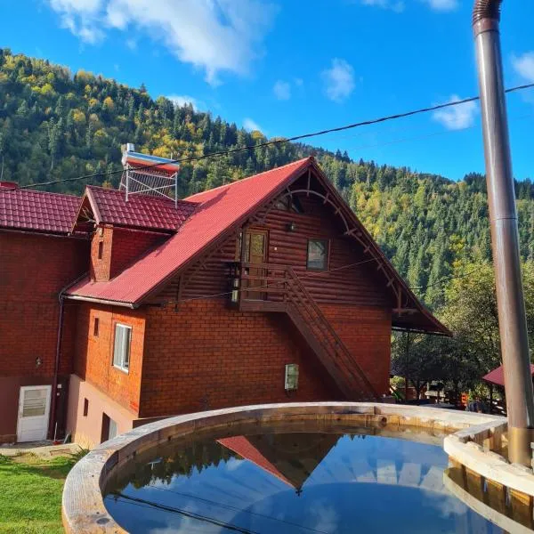 Pensiunea Cabana Viselor, hotel em Cîmpeni