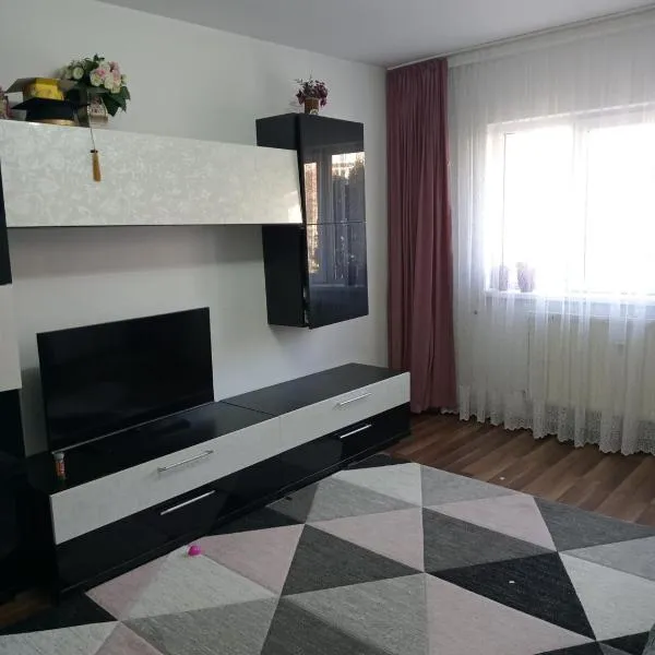 Penti Apartament, מלון בDragomirna