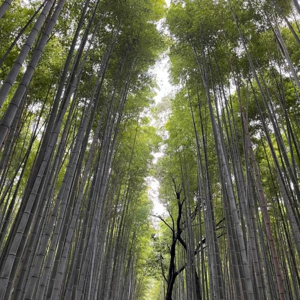 嵐山 天龍の宿 駐車無料一棟貸切Kyoto Arashiyama Central Private Modern Villa Togetsu bridge Bamboo Forest Walk 5mins Free parking, hotell i Kameoka