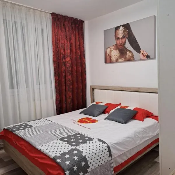 Ali Relax Home Apartment، فندق في Oţeleni