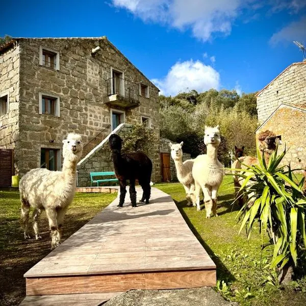 Les Bergeries de Figari, hotel en Figari