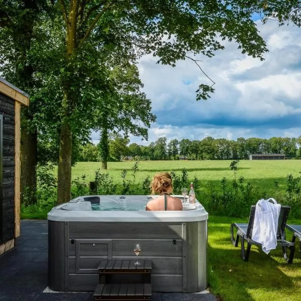 Panorama wellnesslodges x Buitenplaats Holten, hotel a Rijssen