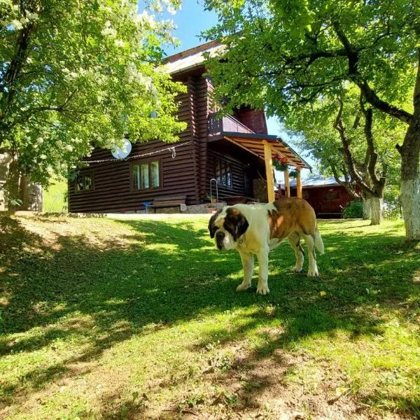 Cabana Dochita, hotel in Ceahlău