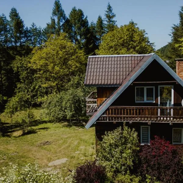 Domki u Serowarki, hotel u gradu 'Polańczyk'