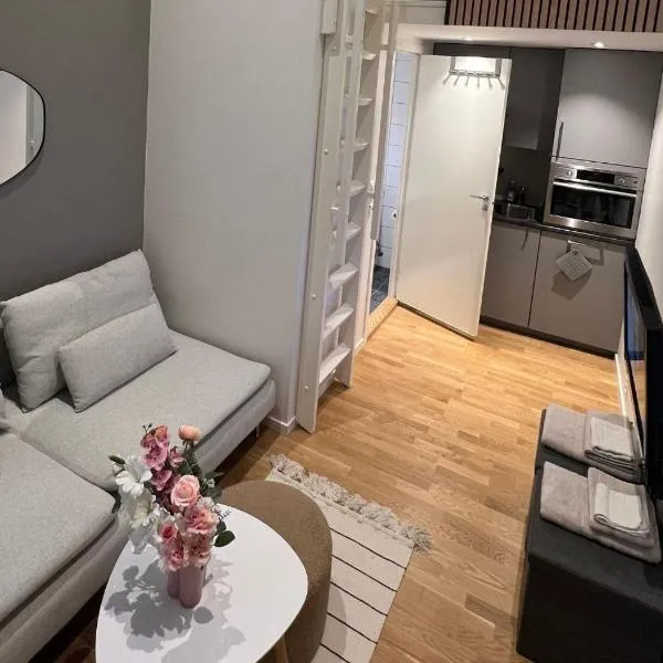 Studio apartment, ξενοδοχείο σε Marifjora