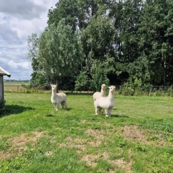 The3AlpacasPieterburen, hotel i Pieterburen