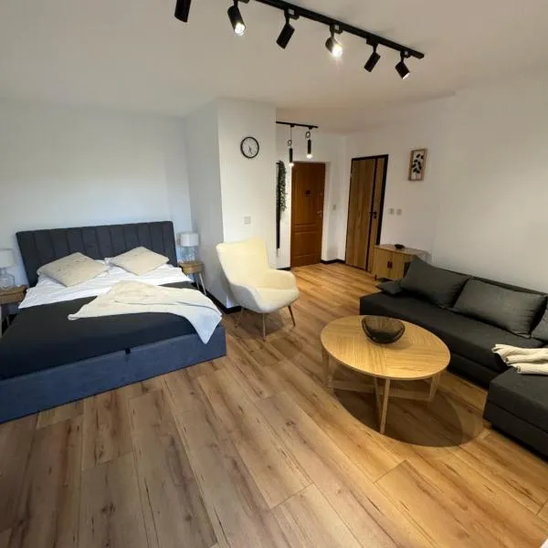 Apartment Ewy, отель в Иновроцлаве