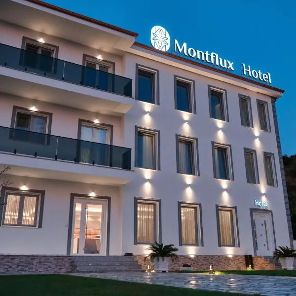 Montflux Hotel, hotel in Koman