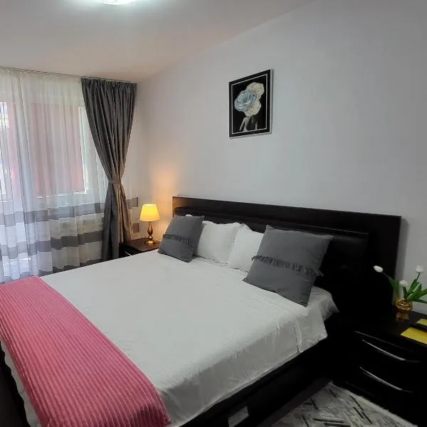 Dream house Apartament, hotell i Piatra Neamţ