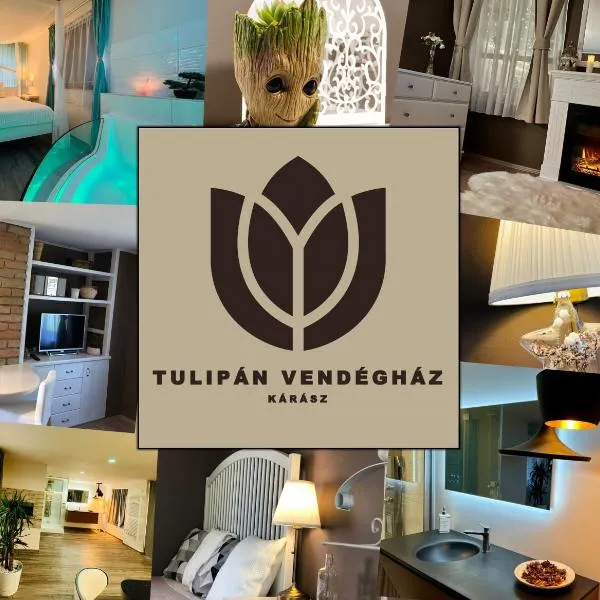 Tulipán Vendégház, hotel di Óbánya