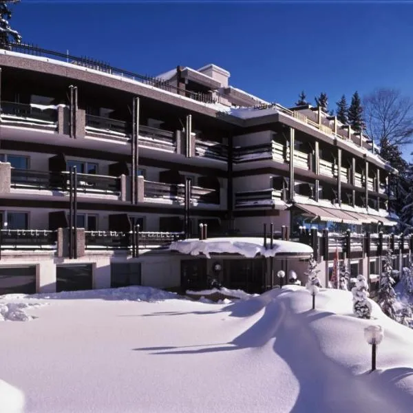 Hôtel de la Forêt, hotel sa Crans-Montana